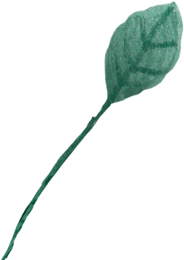 leaf