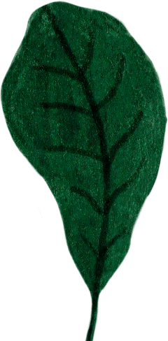 leaf