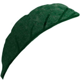 leaf